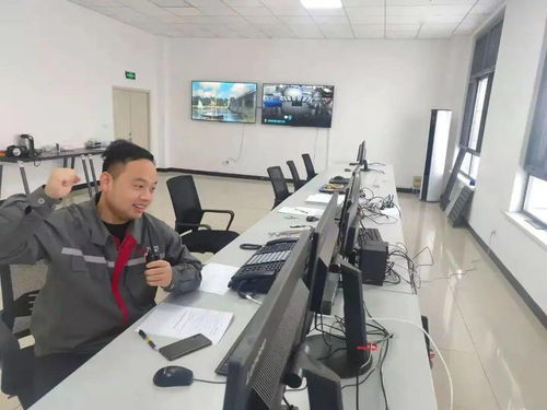 驕傲 丨中國(guó)中車首個(gè)風(fēng)電場(chǎng)一次送電成功 技術(shù)開發(fā)及技術(shù)服務(wù)